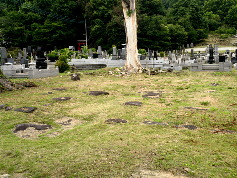 大蔵経寺建物跡